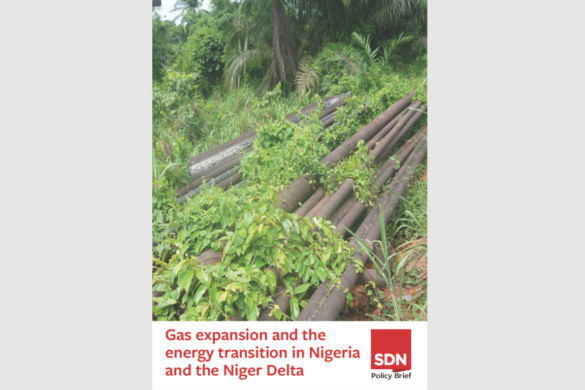 Gas Expansion and the Energy Transition in Nigeria and the Niger Delta